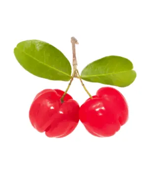 Acerola Cherry