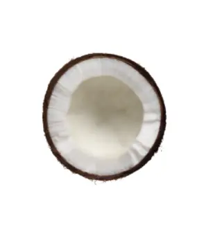 Coconut Milk