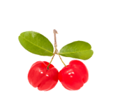 Acerola Cherry
